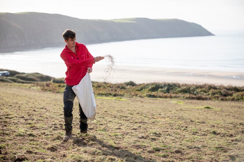 Some of the grasslands near Woolacombe in north Devon are being hand sown (John Miller/National Trust/PA)