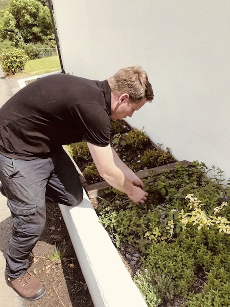 Brendan grows several varieties of herbs in a small walled bedding area for what he calls his &lsquo;botanicals&rsquo; 