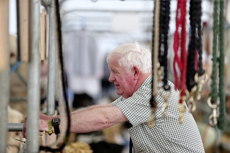 The Balmoral Show returned on Wednesday for its 149th year. Picture by Mal McCann 