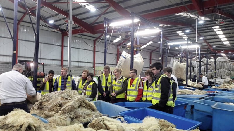Next generation wool producers visit the Ulster Wool grading depot 