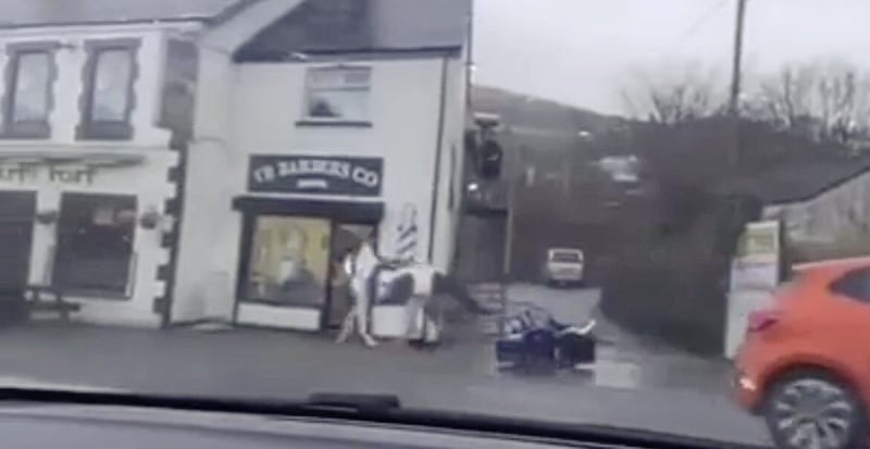The crash involving a horse and cart happened on Saturday 