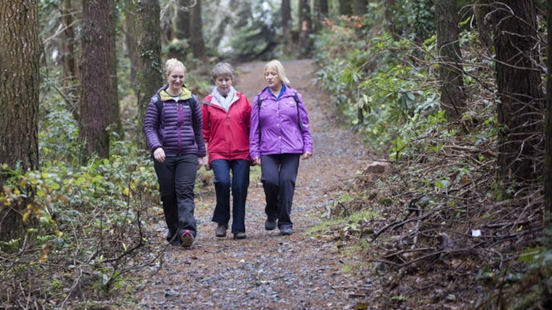 Castlewellan Forest Park has more than 7.5 miles of walking trails 