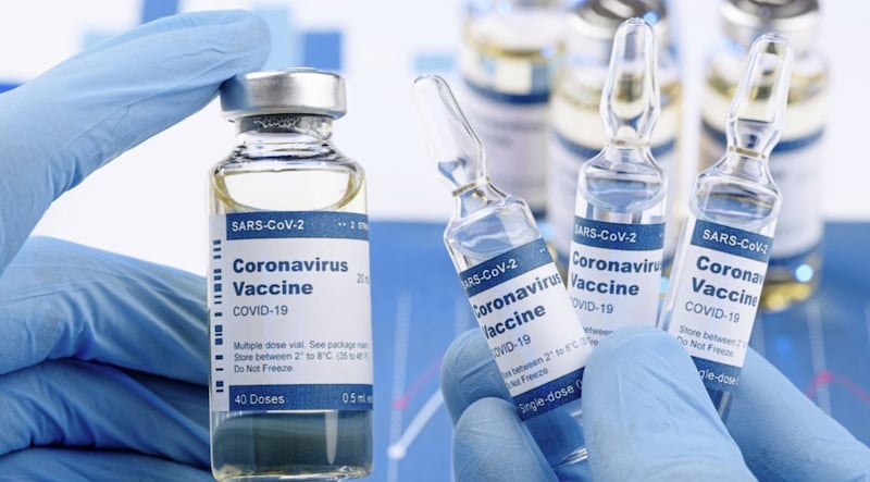 The proposal is for a existing pharmaceutical plant in the south of the country to manufacture vaccines in 2021 for an unnamed multinational &quot;which has developed a jab&quot; 