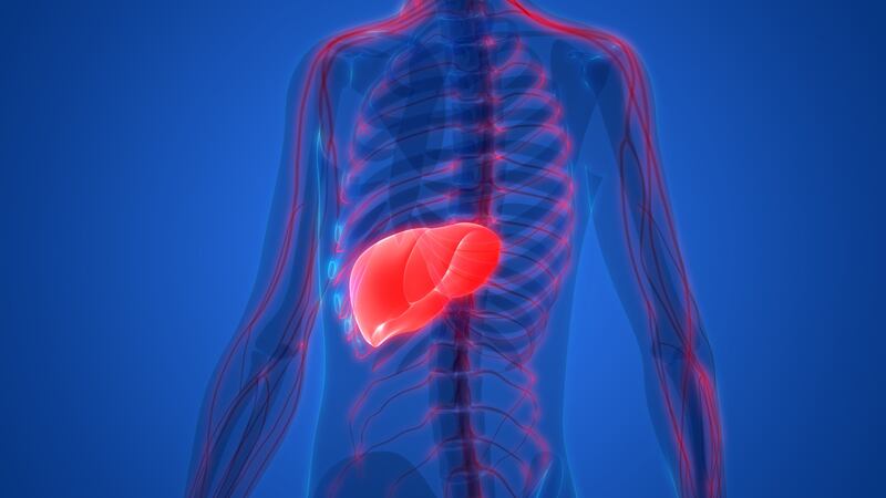 Researchers say the new technology could “transform the treatment of bile duct disorders”.