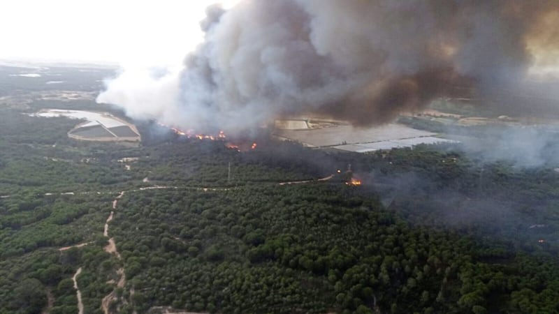 A forest fire blazes in the Moguer area in southern Spain Picture: INFOCA via AP 