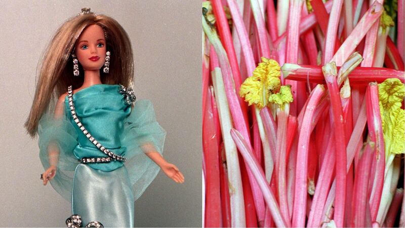 From Barbie’s real name to the sounds of the Rhubarb Triangle.