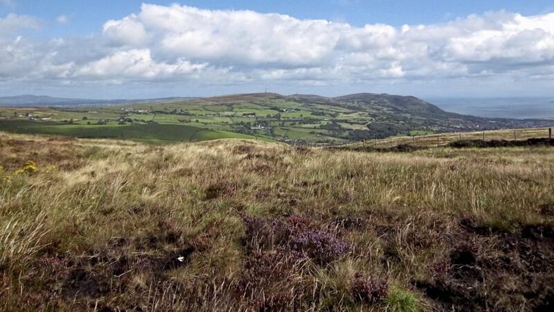 The woman was rescued from Divis Mountain on the edge of west Belfast 