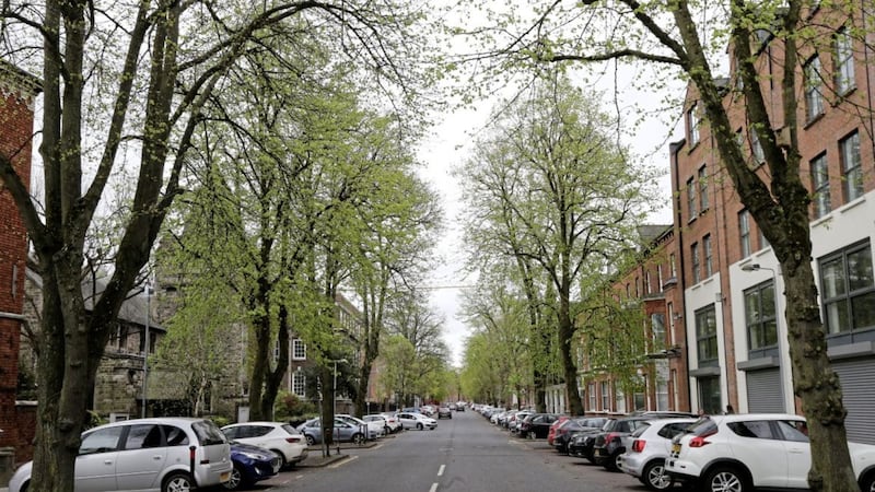 Elmwood Avenue near Queen&#39;s University in south Belfast has been named the `Most Instagrammable&#39; street in Northern Ireland. Picture by Hugh Russell 