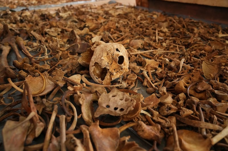 Newly discovered skulls and bones of some of those who were killed in the 1994 Rwanda genocide as they sought refuge inside a church in Nyamata (Brian Inganga/AP)