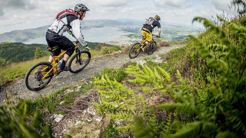 The Rostrevor trails overlook Carlingford Lough, with views south to Co Louth and beyond 