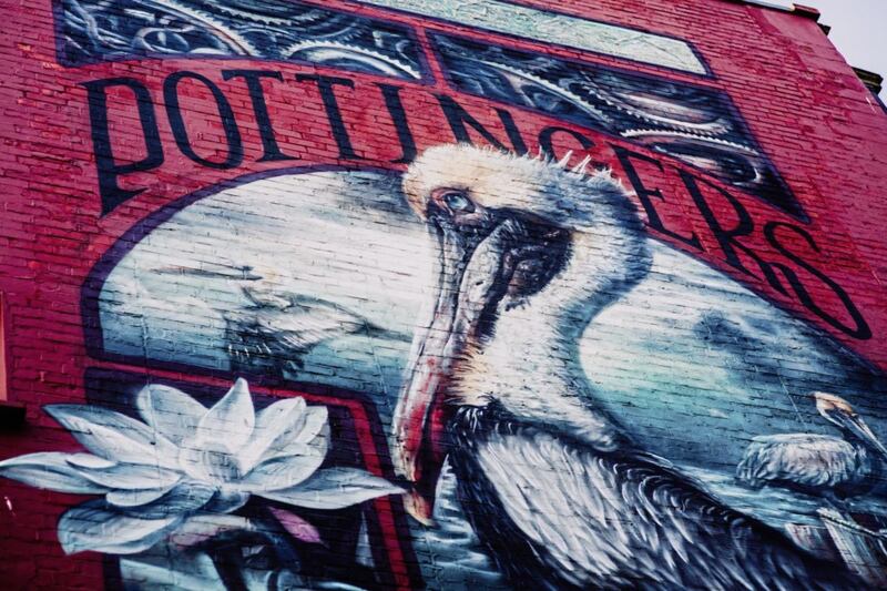 Pelican by artist Nomad Clan at Pottinger&#39;s Entry in Belfast city centre 