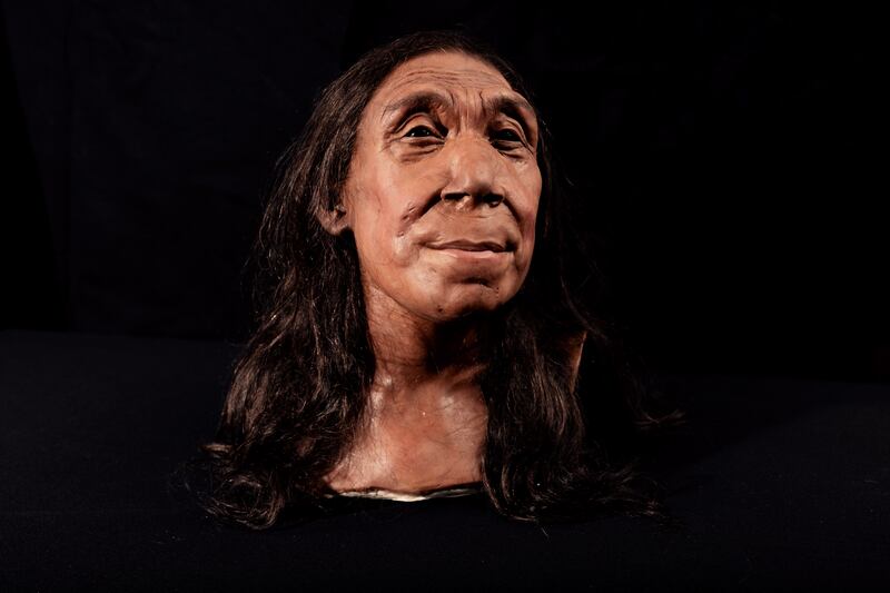 The recreated head of Shanidar Z, made by the Kennis brothers for the Netflix documentary ‘Secretsof the Neanderthals’ based on 3D scans of the reconstructed skull.