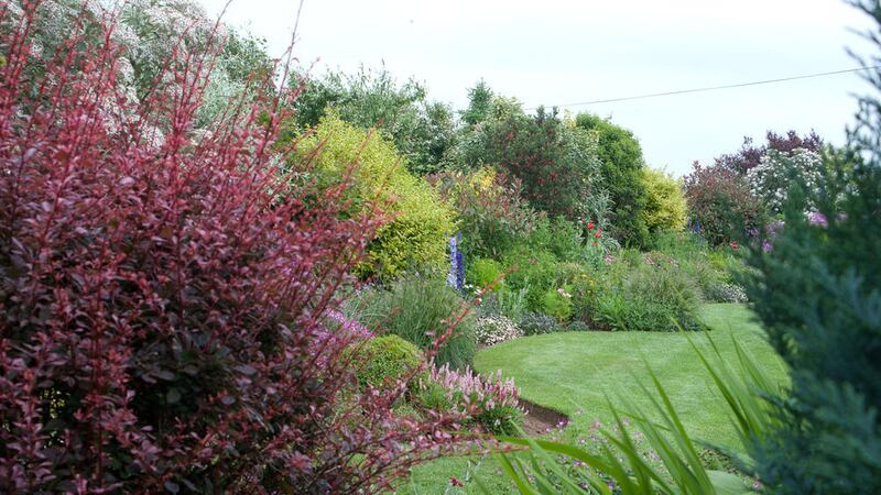 David and Gillian McMurran&#39;s cottage style Co Down garden 