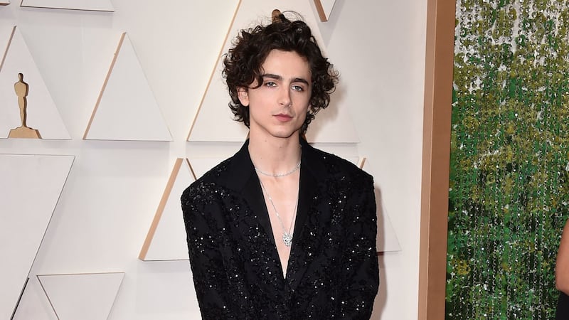 The Dune star is wearing one of the more risque outfits at the 94th Academy Awards.