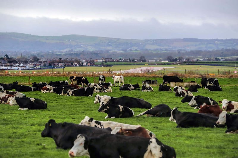 Meeting the target will require a reduction in eating meat and dairy, the report said (Peter Byrne/PA)