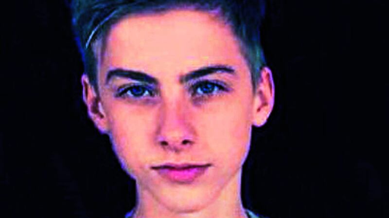 Fifteen-year-old Arthur Cave, son of musician Nick Cave, died after falling from a cliff in the Brighton area on Tuesday evening&nbsp;
