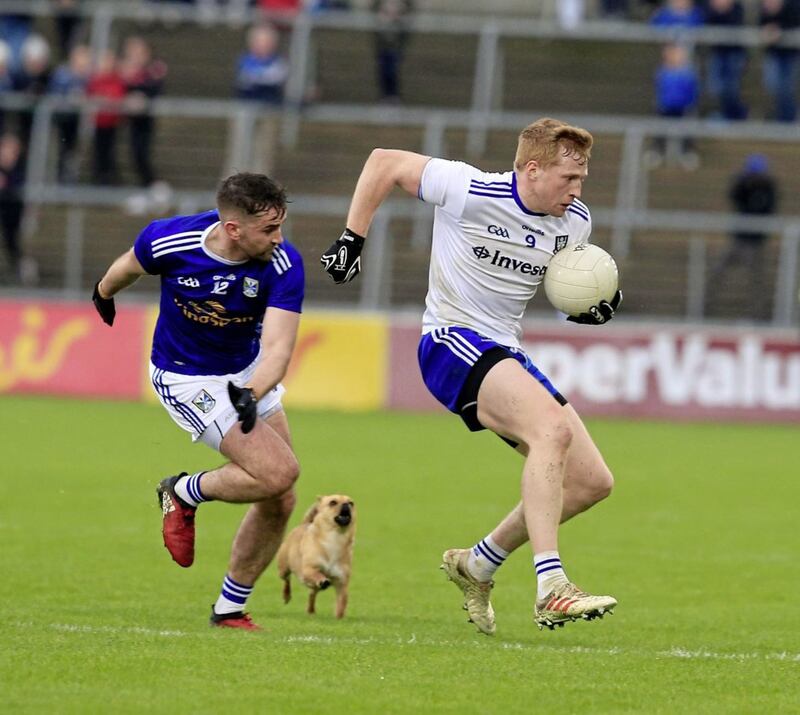 The dog in question nips at the heels of Cavan's Niall Murray and Monaghan's Kieran Hughes during their Ulster SFC quarter-final. Picture by Philip Walsh