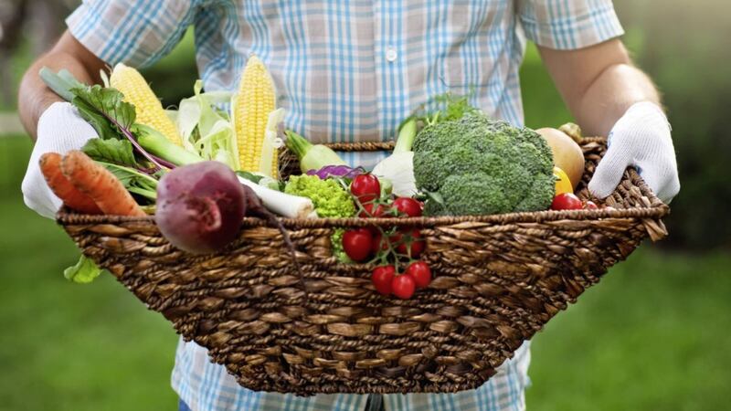 Get your fruit and veg, guys &ndash; five portions a day is the minimum recommended for good health 
