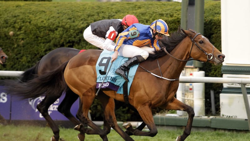 Found (9), with Ryan Moore on board, wins the Breeders' Cup Turf at Keeneland in Lexington, Kentucky on Saturday<br />Picture: AP