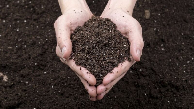 Natural World Products manages around 250,000 tonnes of organic waste each year, developing into compost. 