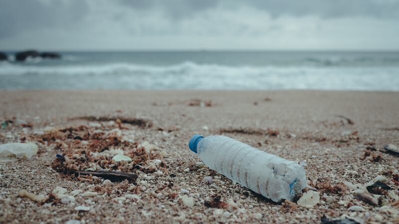 Organisers want to involve one billion people worldwide in the second annual One Plastic Free Day.