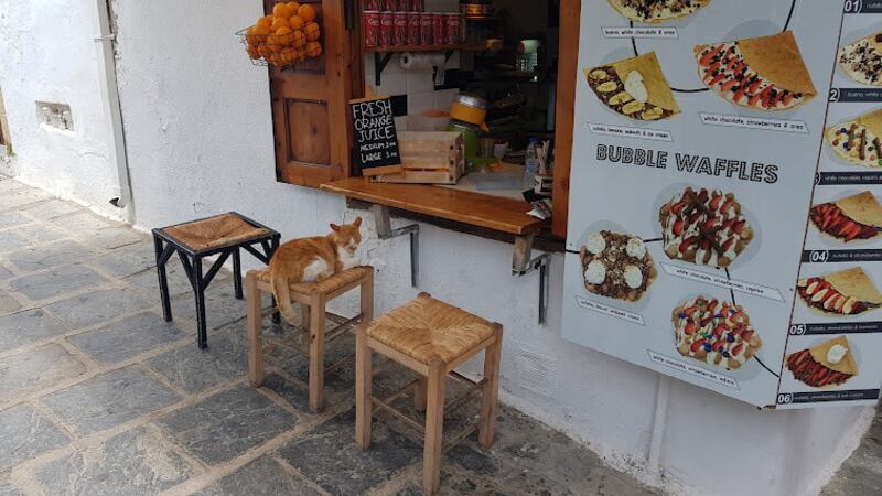Cat-spotters will be in their element in Lindos, and indeed on Rhodes in general