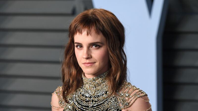 The Justice and Equality Fund is supported by celebrities including Emma Watson.