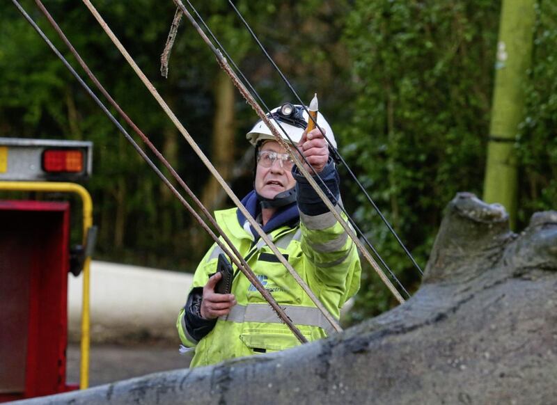 NIE engineers test downed electricity cables after a large tree pulled down power lines and caused damage to homes in New Forge Lane in south Belfast Picture Mal McCann. 