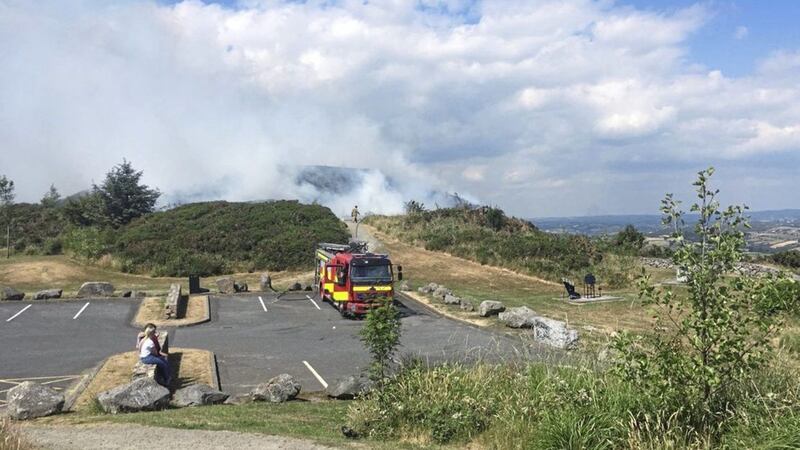 Firefighters tackling a gorse fire yesterday at Flagstaff viewpoint outside Newry. Picture by BBC 