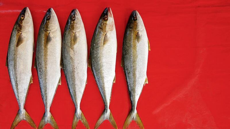 Eating fatty fish such as tuna, mackerel and salmon can boost vitamin D 