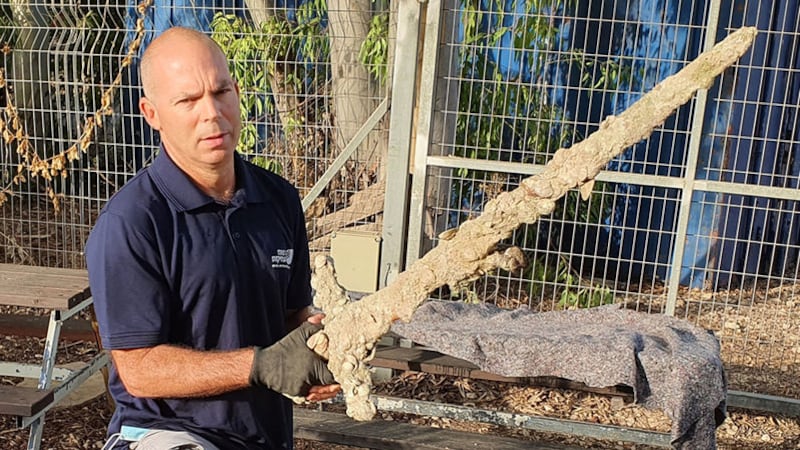 Nir Distelfeld, Inspector for the Israel Antiquities Authority's holds an ancient sword after it was discovered by an Israeli diver off the country's Mediterrean coast near Haifa, Israel, October 14, 2021 (Israel's Antiquities Authority via AP)&nbsp;