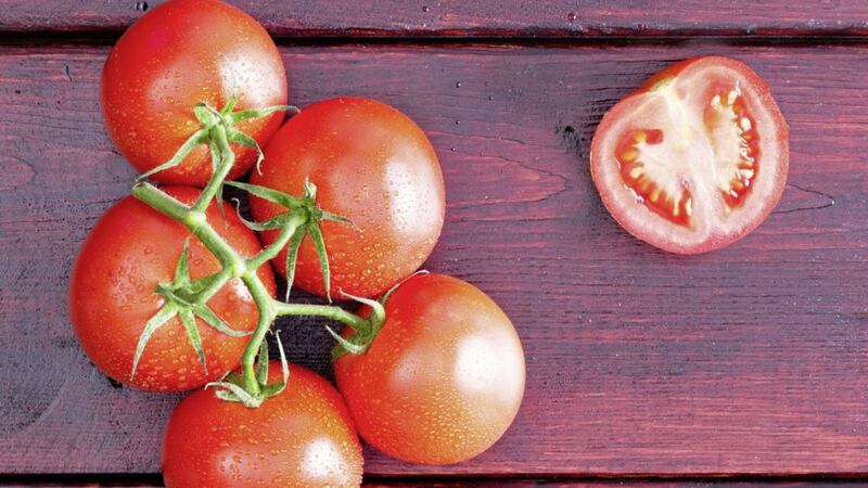 Tomatoes are one of the easiest veg to grow at home 