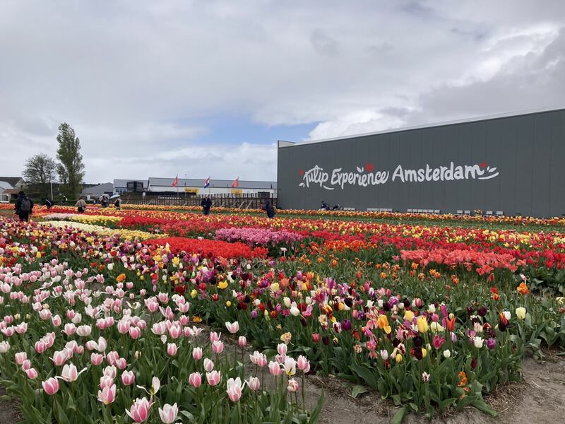 The show garden at Tulip Experience Amsterdam. See PA Feature TRAVEL Amsterdam. This picture must only be used to accompany TRAVEL Amsterdam