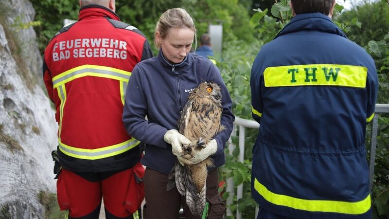 The bird was stuck in the 130ft shaft in northern Germany.
