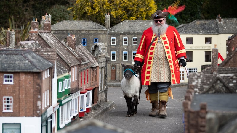 As a freeman of Wimborne, Chris Brown has the right to drive sheep through the town’s streets without charge.