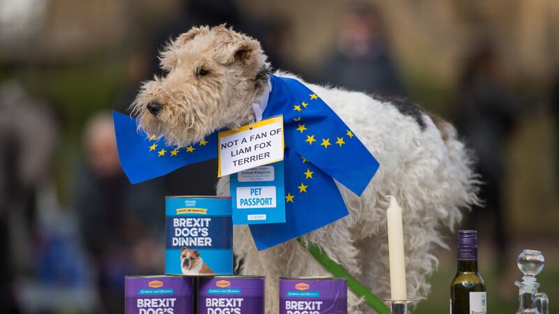 The Wooferendum protest held near Parliament claimed Brexit was ‘a recipe for disaster’.