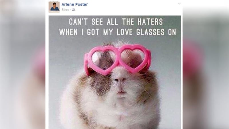 The DUP leader posted a picture on Friday of a guinea pig with rose-shaped pink glasses alongside the message &quot;Can't see all the haters when I got my love glasses on&quot;&nbsp;