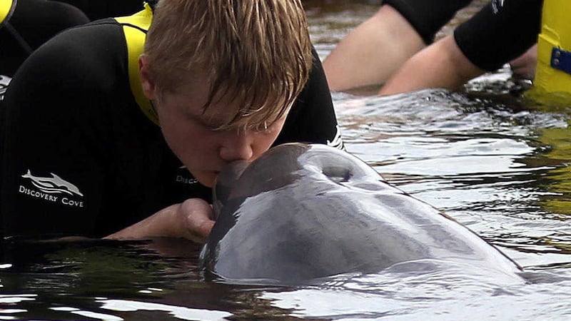 Kyle Cooper (14) kisses a dolphin in Florida during the annual Dreamflight trip for sick and seriously ill children Picture by Steve Parsons/PA Wire              