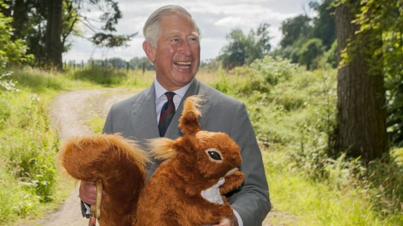 Prince Charles reportedly backs plans to sterilise grey squirrels by luring them with Nutella