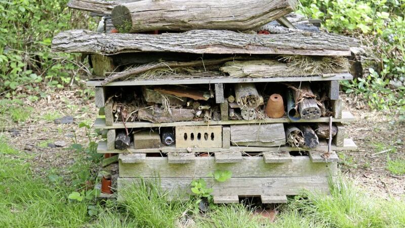 Building a bug or wildlife hotel - and then watching it fill with life - is a great outdoor summer activity for children 