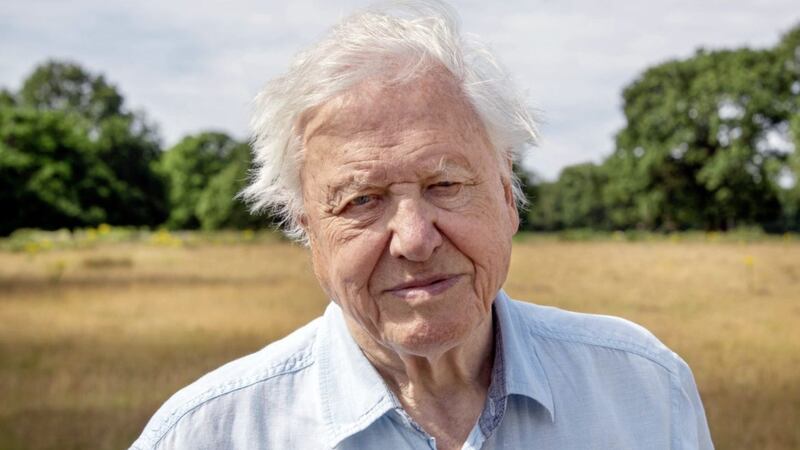 David Attenborough is back with his new series A Perfect Planet 