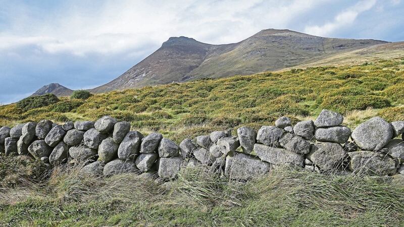 Stone walls and gorse lead the way to Slieve Binnian in the Mourne Mountains; stone walls remind Nuala of the sense of time passing - and standing still. Picture by Mal McCann 
