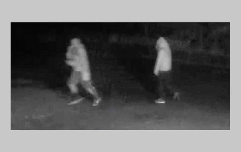 &nbsp;CCTV images of two masked people spotted attempting to remove a ventilation grille on the front of wind farm substation in November 2018