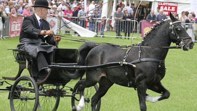 Carriage driving will be on display at the Irish Game Fair at Shane&#39;s Castle this weekend 