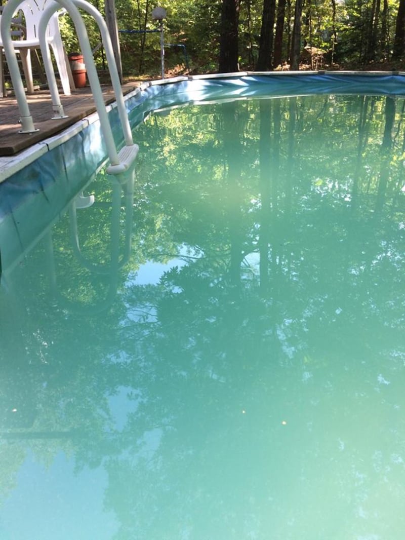 Leslie Kahn's pool in New Hampshire. The 61-year-old was stuck in the water after the ladder broke but help came after she posted an appeal on Facebook (Leslie Kahn)