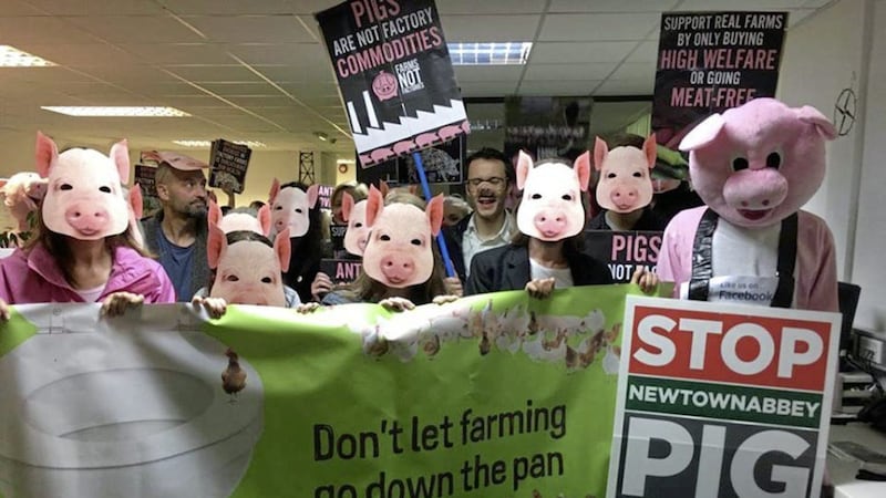 Protestors make their feelings known about the planned pig farm on the outskirts of Newtownabbey, Co Antrim 