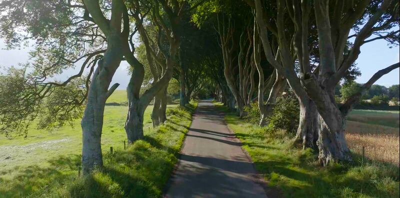 The Dark Hedges are among the beauty spots featured in Quintissentially Irish. PICTURE: c2024 Swipe Films