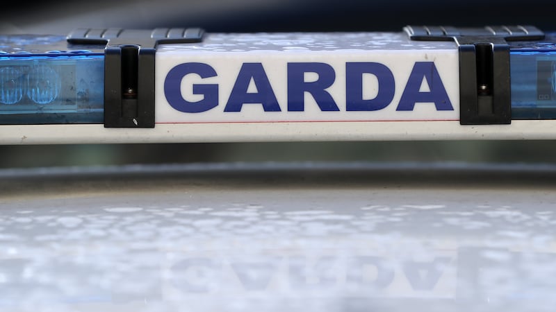 A stock picture of the Garda badge logo