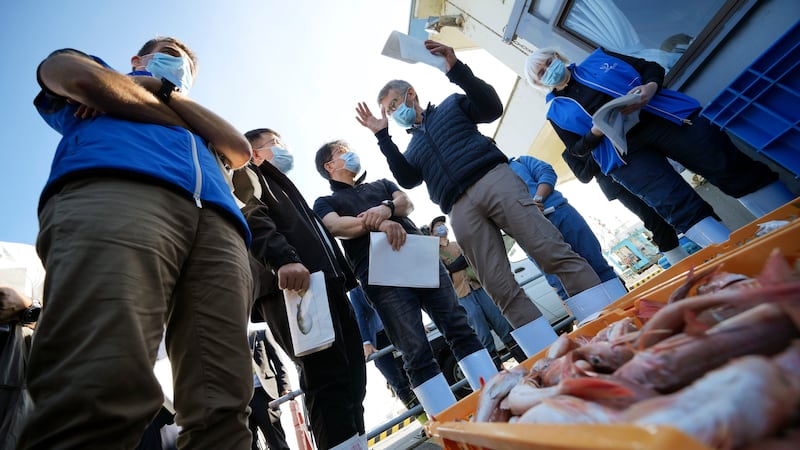 A team of experts from the International Atomic Energy Agency with scientists from China, South Korea and Canada observe the inshore fish during a morning auction at Hisanohama Port in Iwaki, northeastern Japan (Eugene Hoshiko/AP)
