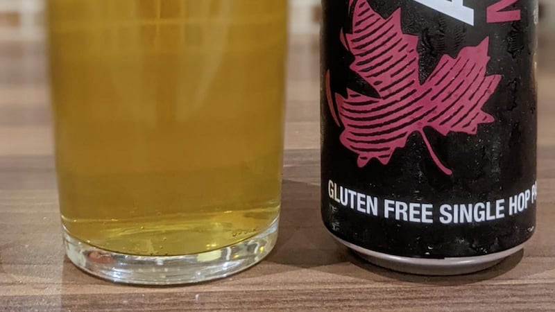 The gluten-free Mosaic from Arbor Ales 